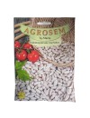 Seminte fasole pitica pentru boabe Great Northern - 80 grame
