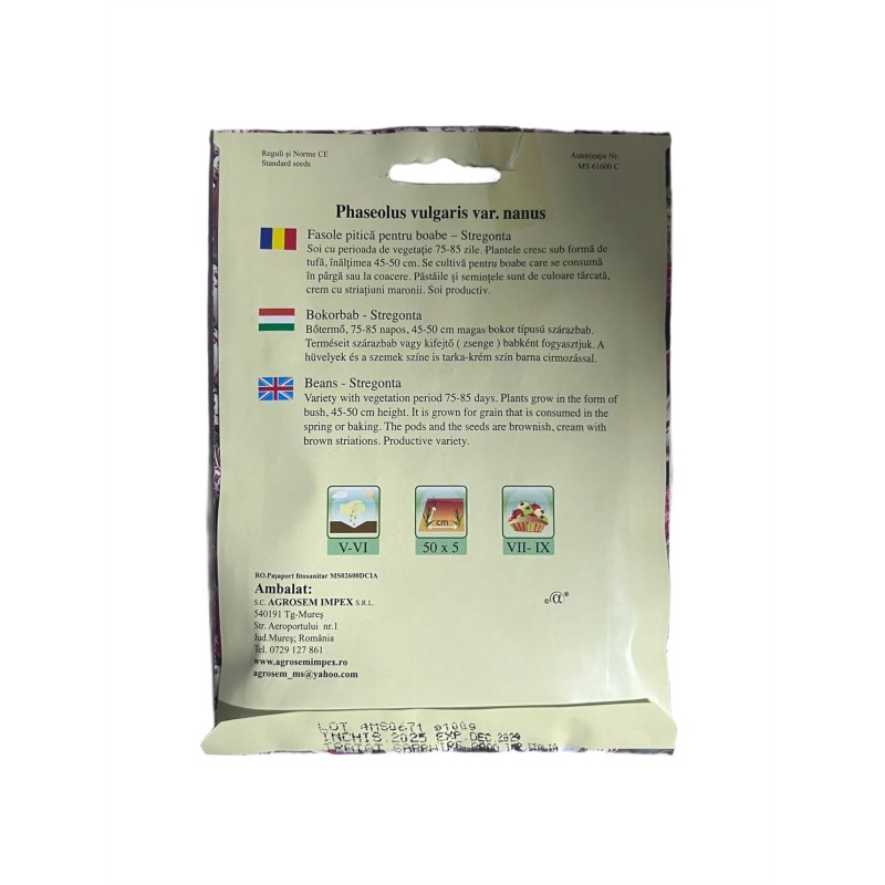 Seminte fasole pitica pentru boabe Stregonta - 100 grame