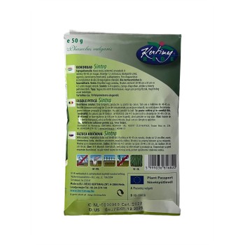 Seminte fasole pitica Sintra - 50 grame
