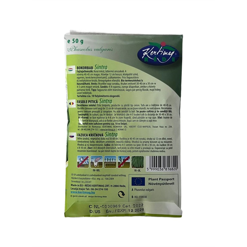 Seminte fasole pitica Sintra - 50 grame