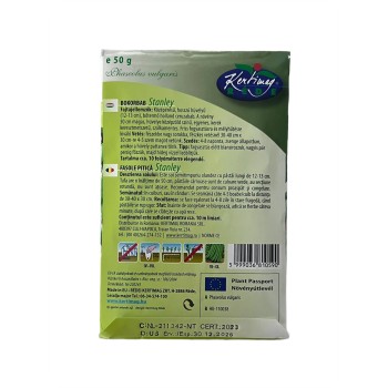 Seminte fasole pitica Stanley - 50 grame