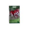 Seminte ridichi de luna French Breakfast - 10 grame