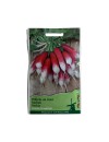 Seminte ridichi de luna French Breakfast - 10 grame