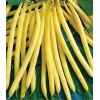 Seminte fasole oloaga Sondela - 100 grame