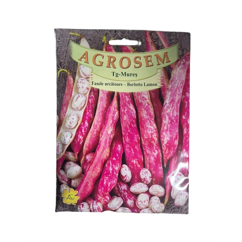 Seminte fasole urcatoare Borlotto Lamon - 40 grame