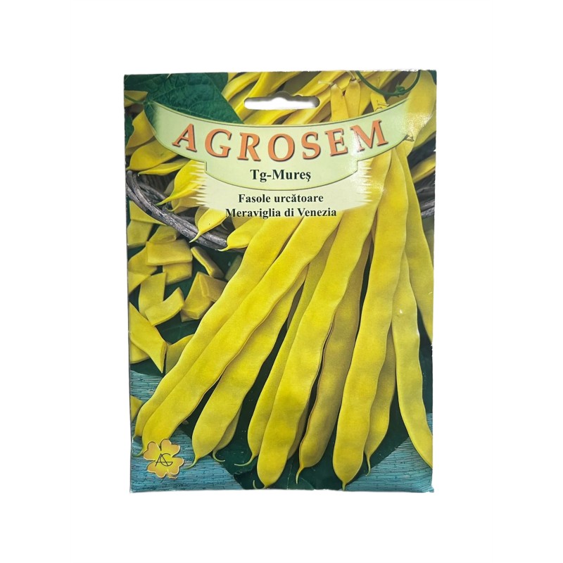 Seminte fasole urcatoare Meraviglia Di Venezia - 80 grame