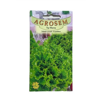 Seminte salata creata Gentilina - 1.5 grame