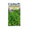 Seminte salata creata Gentilina - 1.5 grame