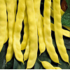 Seminte fasole urcatoare Goldmarie - 100 grame