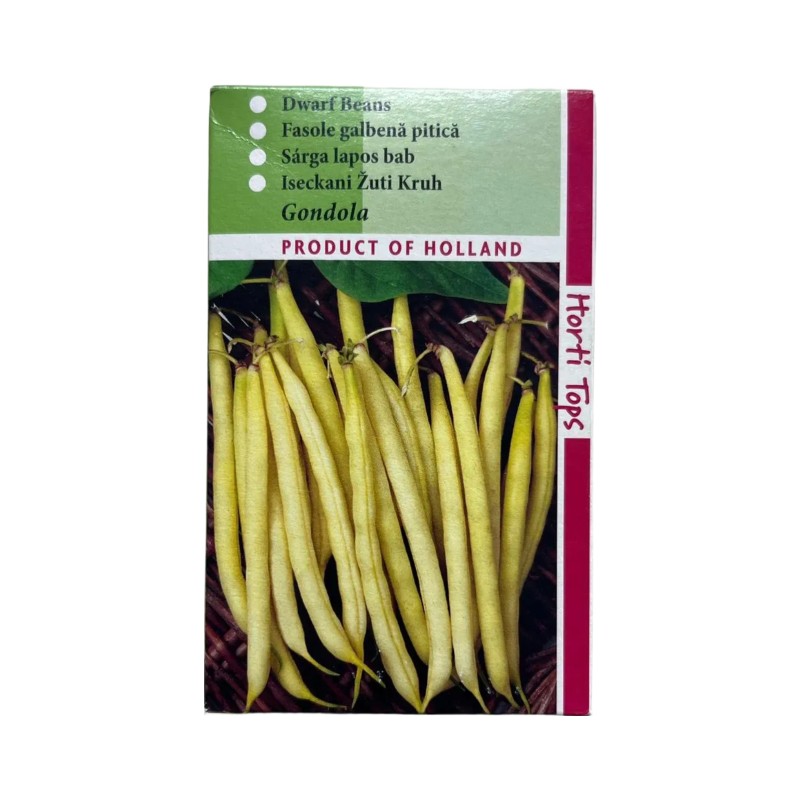 Seminte fasole pitica Gondola - 250 grame