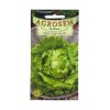 Seminte salata Iceberg Great Lakes 118 - 1.5 grame