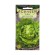 Seminte salata Iceberg Great Lakes 118 - 1.5 grame