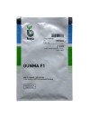 Seminte varza Gunma F1 - 2500 seminte