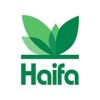 Haifa