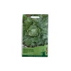 Seminte salata Iceberg Great Lakes 118 - 2 grame