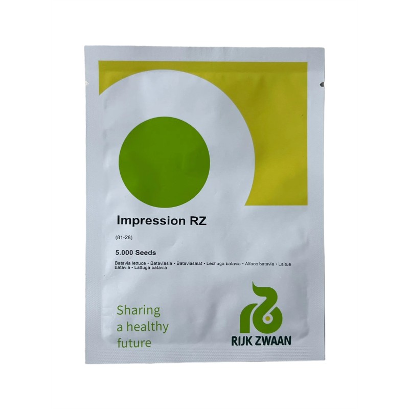Seminte salata creata Impression RZ F1 - 5000 seminte