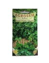 Seminte patrunjel frunza Italian Giant - 4 grame