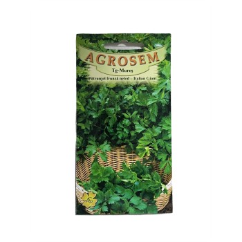 Seminte patrunjel frunza Italian Giant - 4 grame