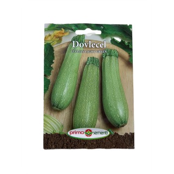 Seminte dovlecel Italian Light Green - 3 grame