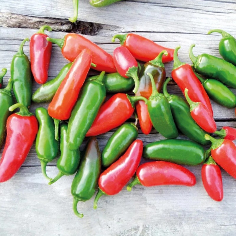 Seminte ardei iute Jalapeno - 0.7 grame