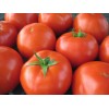 Seminte tomate Kalina F1 - 250 seminte