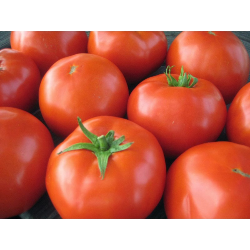Seminte tomate Kalina F1 - 250 seminte