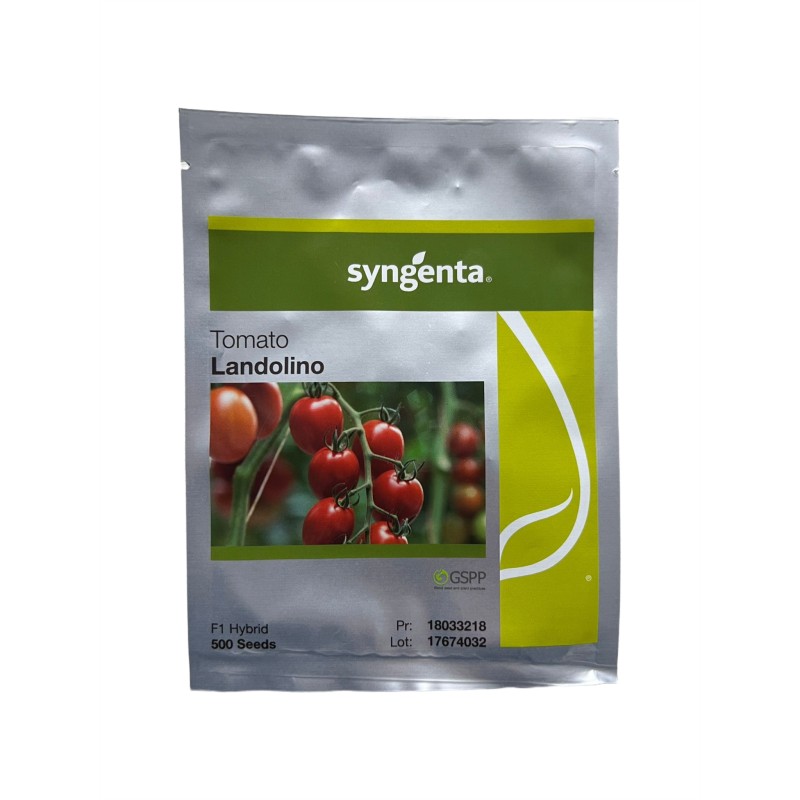 Seminte tomate Cherry Landolino F1 - 500 seminte