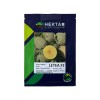 Seminte pepene galben Letea F1 - 50 seminte