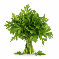 Leustean