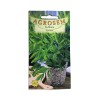 Seminte leustean Agrosem - 0.4 grame