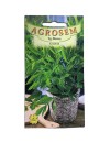 Seminte leustean Agrosem - 0.4 grame
