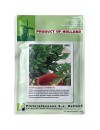 Seminte leustean Comun - 10 grame