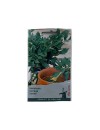 Seminte leustean Comun - 0.5 grame