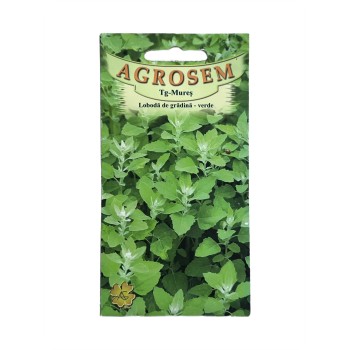 Seminte Loboda Verde Agrosem - 0.4 grame