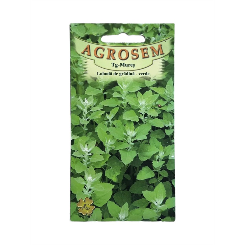 Seminte Loboda Verde Agrosem - 0.4 grame