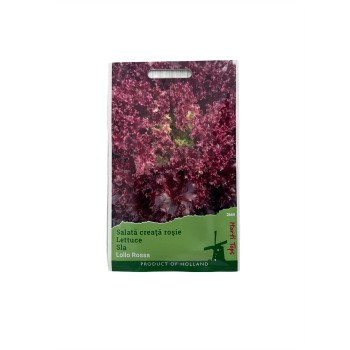 Seminte salata creata rosie Lollo Rossa - 2 grame