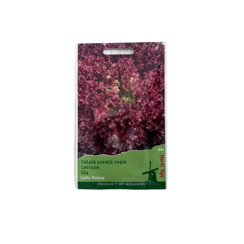 Seminte salata creata rosie Lollo Rossa - 2 grame