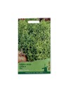 Seminte salata creata Lollo Bionda - 2 grame