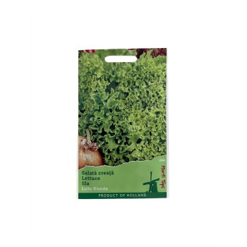 Seminte salata creata Lollo Bionda - 2 grame