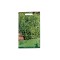 Seminte salata creata Lollo Bionda - 2 grame
