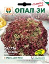 Seminte salata creata Lollo Rossa Opal - 2 grame