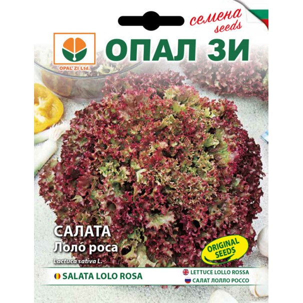 Seminte salata creata Lollo Rossa Opal - 2 grame