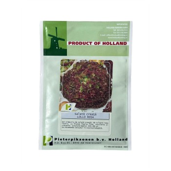 Seminte salata creata rosie Lollo Rossa - 10 grame