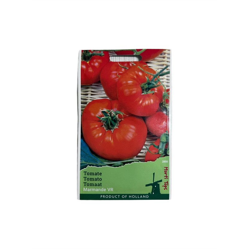 Seminte tomate Marmande VR - 1 gram