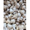 Usturoi samanta Madaidor cal. 50-60 mm - 1 kg