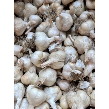 Usturoi samanta Madaidor cal. 50-60 mm - 1 kg