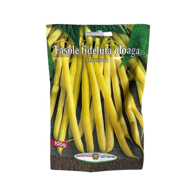 Seminte fasole oloaga Maxidor - 100 grame