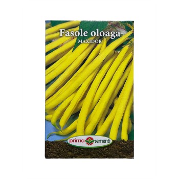 Seminte fasole oloaga Maxidor - 250 grame