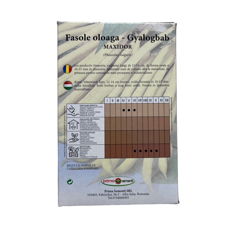 Seminte fasole oloaga Maxidor - 250 grame