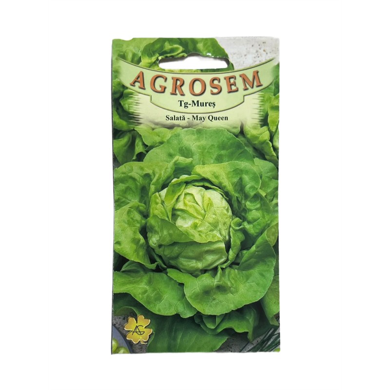 Seminte salata de capatana May Queen - 2.5 grame